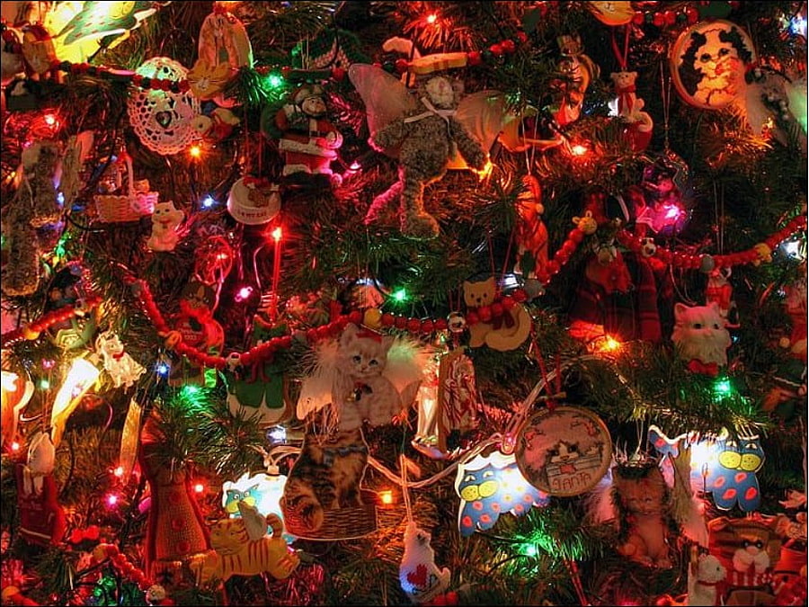 christmans decorations, colorful, colored, pretty, lights, decorations, beautiful, christmans HD wallpaper