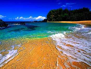 BEACH, summer, beachscape, nature HD wallpaper