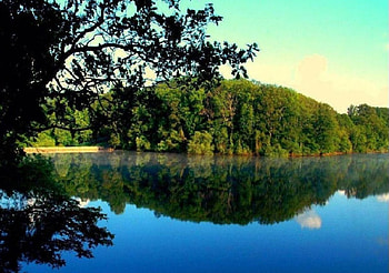 forest and lake reflections, forest, lake, reflections HD wallpaper
