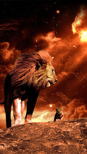 Lion , Fire Background HD phone wallpaper