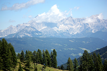 Nature, Trees, Mountains, Austria, Alps HD wallpaper