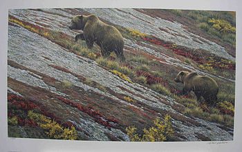 Autumn Bears, bears, winter, cub, climb, hibernation, mountain, grizzlies, rest, mother, sleep HD wallpaper