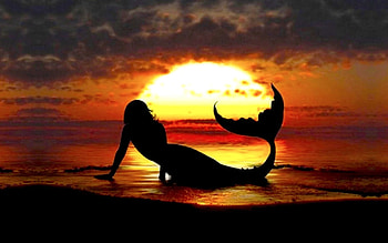 Mermaid , and mobile HD wallpaper