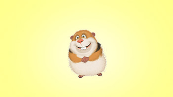 Guinea Pig Hamster, pig, cartoons HD wallpaper