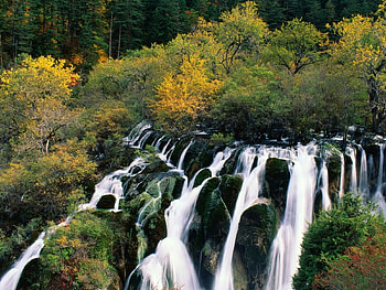 Landscape, Trees, Waterfalls HD wallpaper