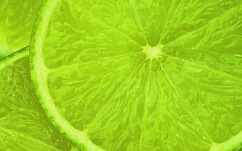 Lime , Lime, Backgrounds, Lime HD wallpaper