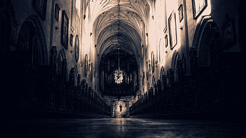 Dark, Bench, Church, Service, Benches, Hall HD wallpaper