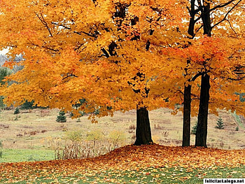 les-eboulements, canada, eboulements, quebec HD wallpaper