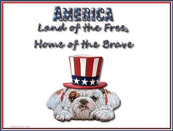 AMERICA LAND OF THE HOME OF THE BRAVE, bulldog, top hat, patriotic, america, celebration HD wallpaper