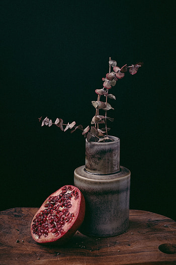 Plant, Miscellanea, Miscellaneous, Fruit, Pot, Decorative, Garnet, Pomegranate HD phone wallpaper