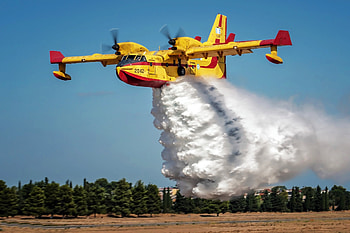 Russian Water Bomber, trees, aircraft, russian, water HD wallpaper