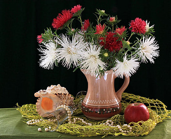 Flowers, shells and fruit, shell, white, red, pearls, flowers HD wallpaper