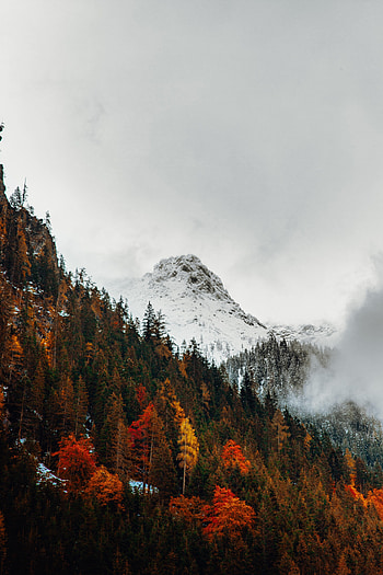 Nature, Autumn, Snow, Mountain, Vertex, Top, Forest HD phone wallpaper