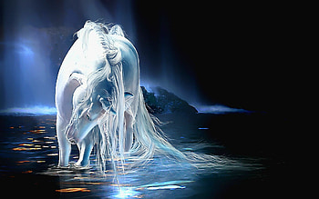 Real unicorn , to , Stunning , Mobile and PC HD wallpaper