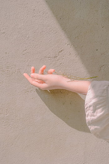 A delicate hand extends towards a sunlit wall, capturing subtle textures and shadows. HD phone wallpaper