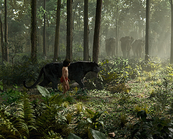 The Jungle Book (Movie), Doctor Strange and Star Wars , Epic movie collection, Marvel at its finest HD wallpaper