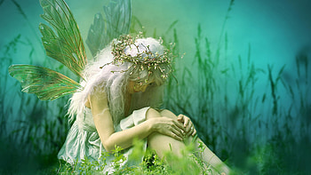 fantasy fairy , fairy backgrounds, Fairy illustrations, Fantasy creature art HD wallpaper