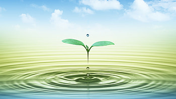 water tranquility, green, cool, peace, grass, water HD wallpaper