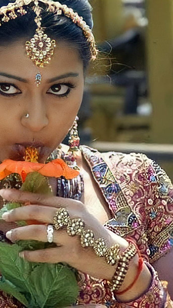 Sneha, multilingual actress HD phone wallpaper