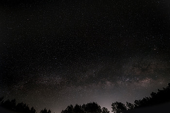 Trees, Universe, Stars, Night, Starry Sky, Nebula HD wallpaper