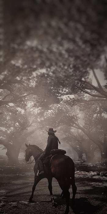 Red dead redemption 2, sky, new, game, star, black, nice, happy new year, horse, amazing, blue, , , popular HD phone wallpaper