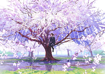 Cherry Blossom Tree, anime, Blossom, Cherry, Tree HD wallpaper