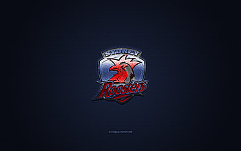 Sydney Roosters, Australian rugby club, NRL, red logo, blue carbon fiber background, National Rugby League, rugby, Sydney, Australia, Sydney Roosters logo HD wallpaper