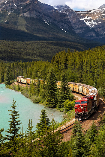 Nature, Lake, Forest, Journey, Railway, Train HD phone wallpaper