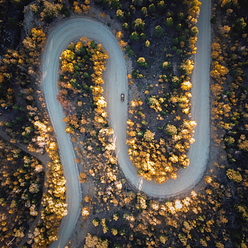 Nature, Trees, View From Above, Road, Turn, Car HD phone wallpaper