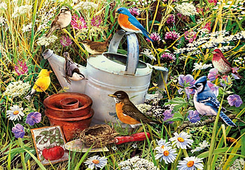 nature garden, garden, flowers, birds, nature HD wallpaper