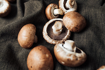 Unterschied zwischen braunen, Weien champignons, Tiroler bio pilze, Food HD wallpaper