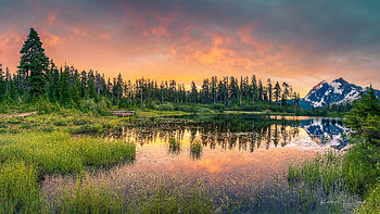 Earth, lake, reflections, sunset, tree, nature HD wallpaper