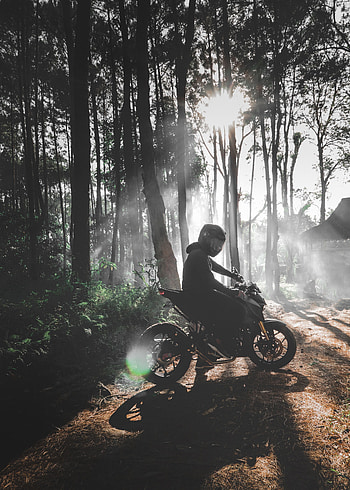 Motorcycles, Forest, Fog, Motorcyclist, Motorcycle, Bike HD phone wallpaper