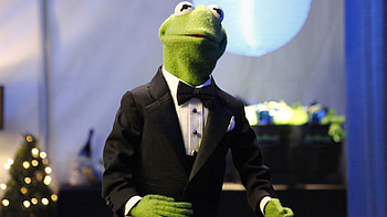 Kermit the Frog , Beloved amphibian, Popular s, favorites HD wallpaper