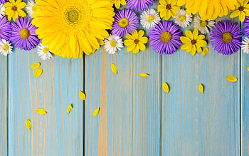 :), card, wood, flower, purple, yellow, texture HD wallpaper