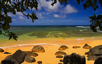 beach-and-coconut, clouds, sky, nature, coconut, rock, beach HD wallpaper