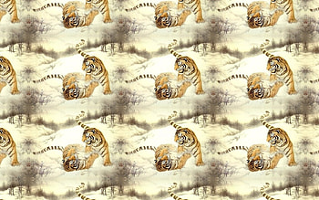 Tigers pattern, animal, tiger, texture, paper, pattern HD wallpaper
