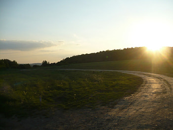 sunny road, sunny, meadow, beautiful, field, road, nature, sun, forest, sunset HD wallpaper