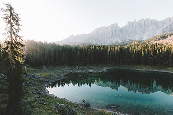Landscape, Nature, Mountains, Lake, Shore, Bank, Forest HD wallpaper