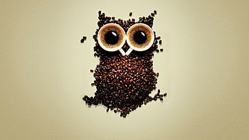 Coffee Beans Owl Art, coffee, beans, owl, artist, digital-art HD wallpaper