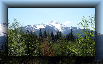 The Sisters Mountains, sping, washington, snow, , mountains, forest HD wallpaper