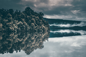 Nature, Rivers, Trees, Sky, Fog HD wallpaper