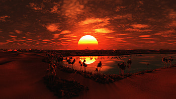 Palm Sunday HD wallpaper