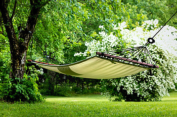 Dreams in the Garden, lawn, leaves, blossoms, trees, hammock HD wallpaper