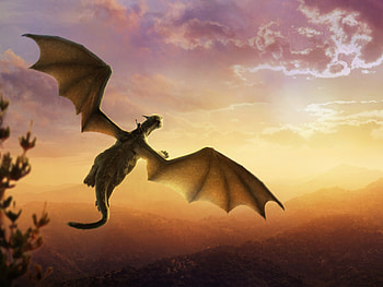 Pete's dragon, poster, disney, copil, petes dragon, fantasy, boy, movie, luminos, child HD wallpaper