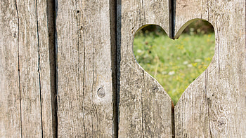 Missing heart, Vintage wood, Antique texture, Aged HD wallpaper