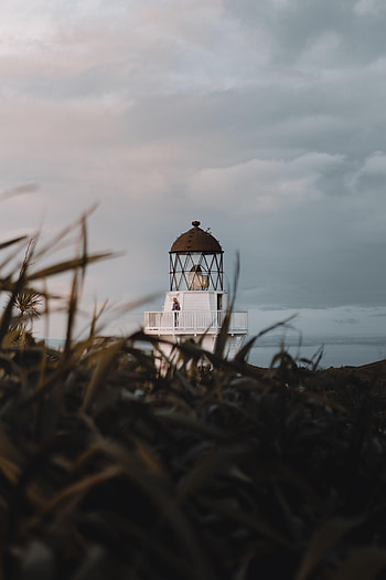 Nature, Grass, Building, Coast, Lighthouse HD phone wallpaper