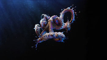 Splashing octopus, Blender artists' masterpiece, Artistic project, Community collaboration HD wallpaper