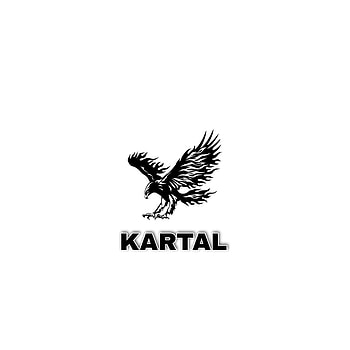 Kartal, uç kuruç, uçkuruç HD phone wallpaper