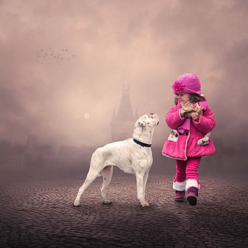 Unusual Story, dog, story, little girl, best friends, unusual, beautiful, walk HD wallpaper